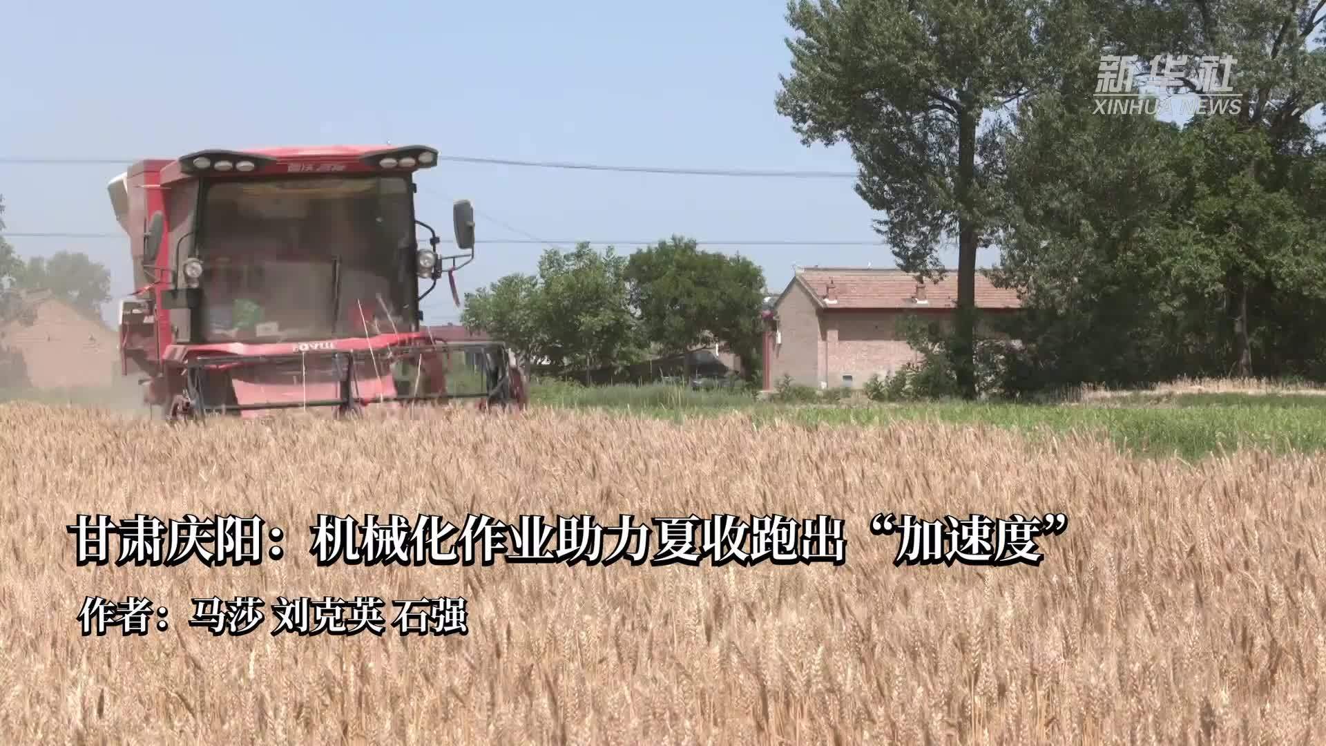 甘肃庆阳：机械化作业助力夏收跑出“加速度”