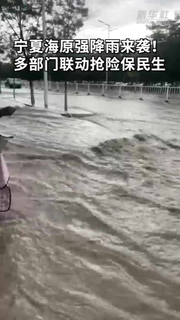 宁夏海原强降雨来袭！多部门联动抢险保民生