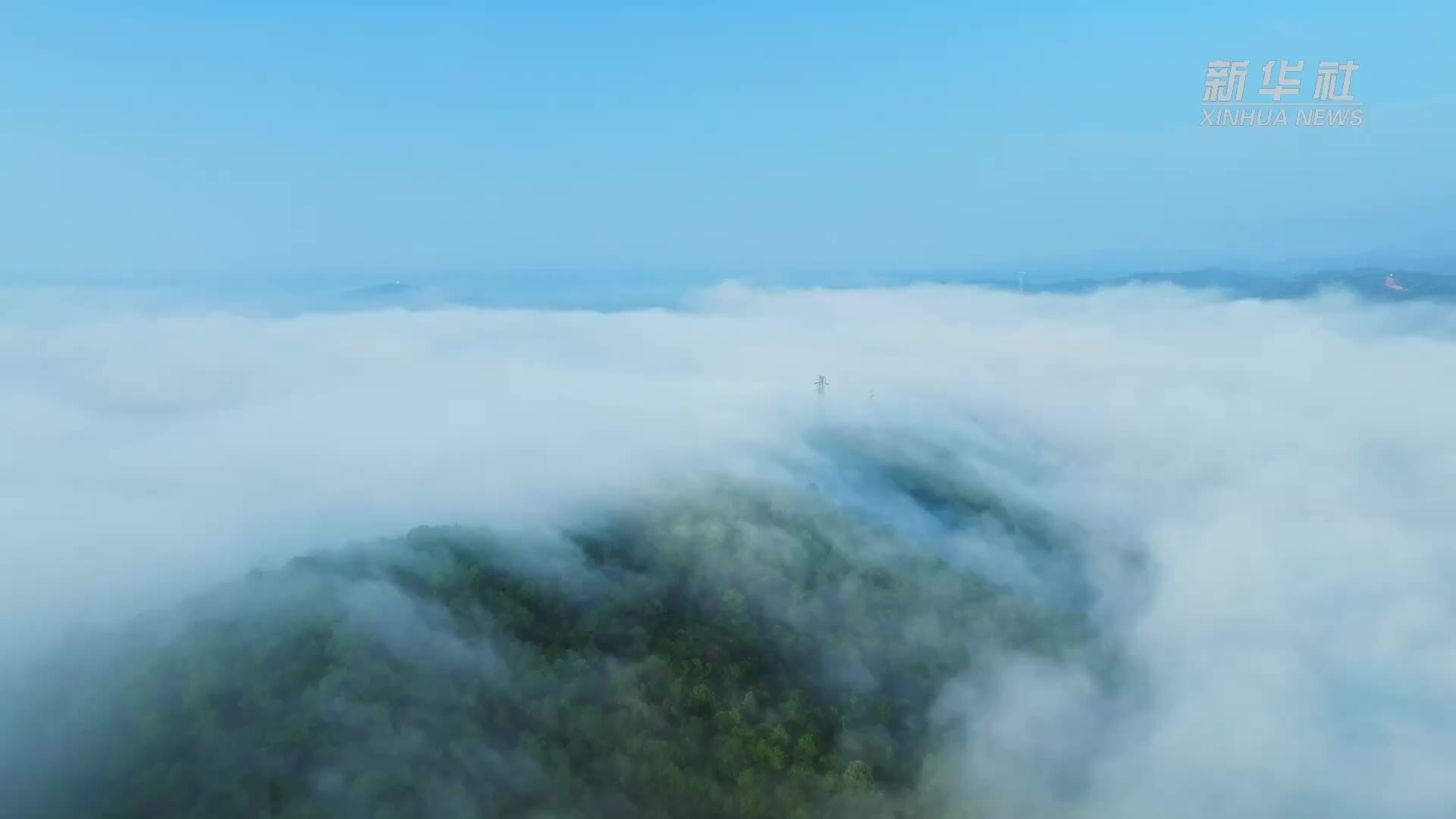 昆明晋宁迎来品尝野生菌最佳时节