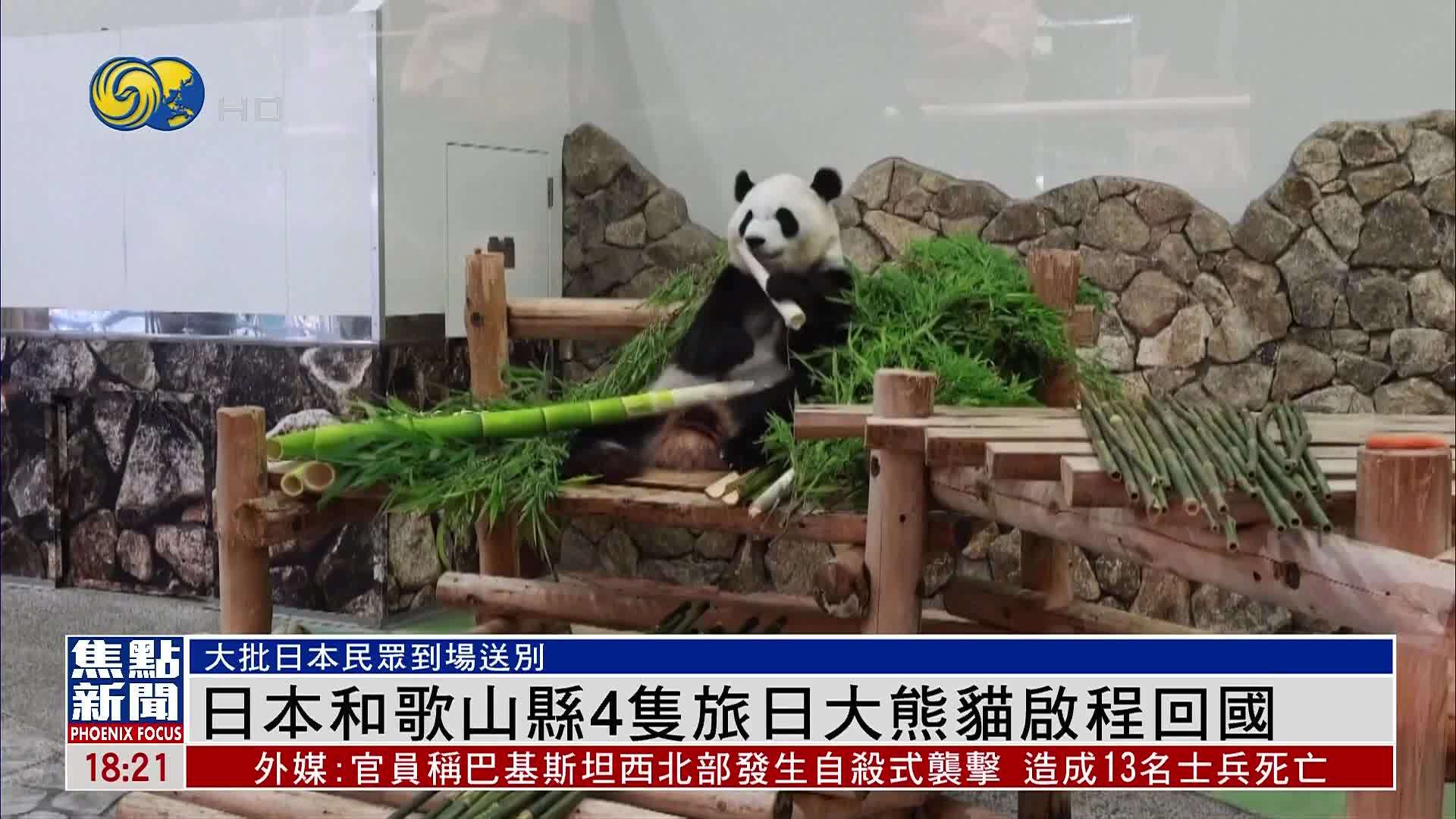 日本和歌山县4只旅日大熊猫启程回国