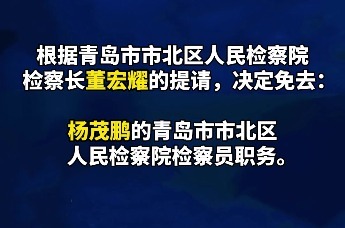 青岛市北区最新人事任免