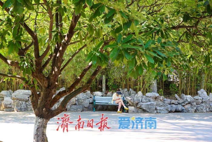 一年四季 泉在济南丨泉涌如珠映晨光 济南珍珠泉夏日清晨氛围感拉满