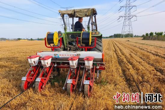 农机手驾驶播种机进行玉米宽窄行种植。 李月英 摄