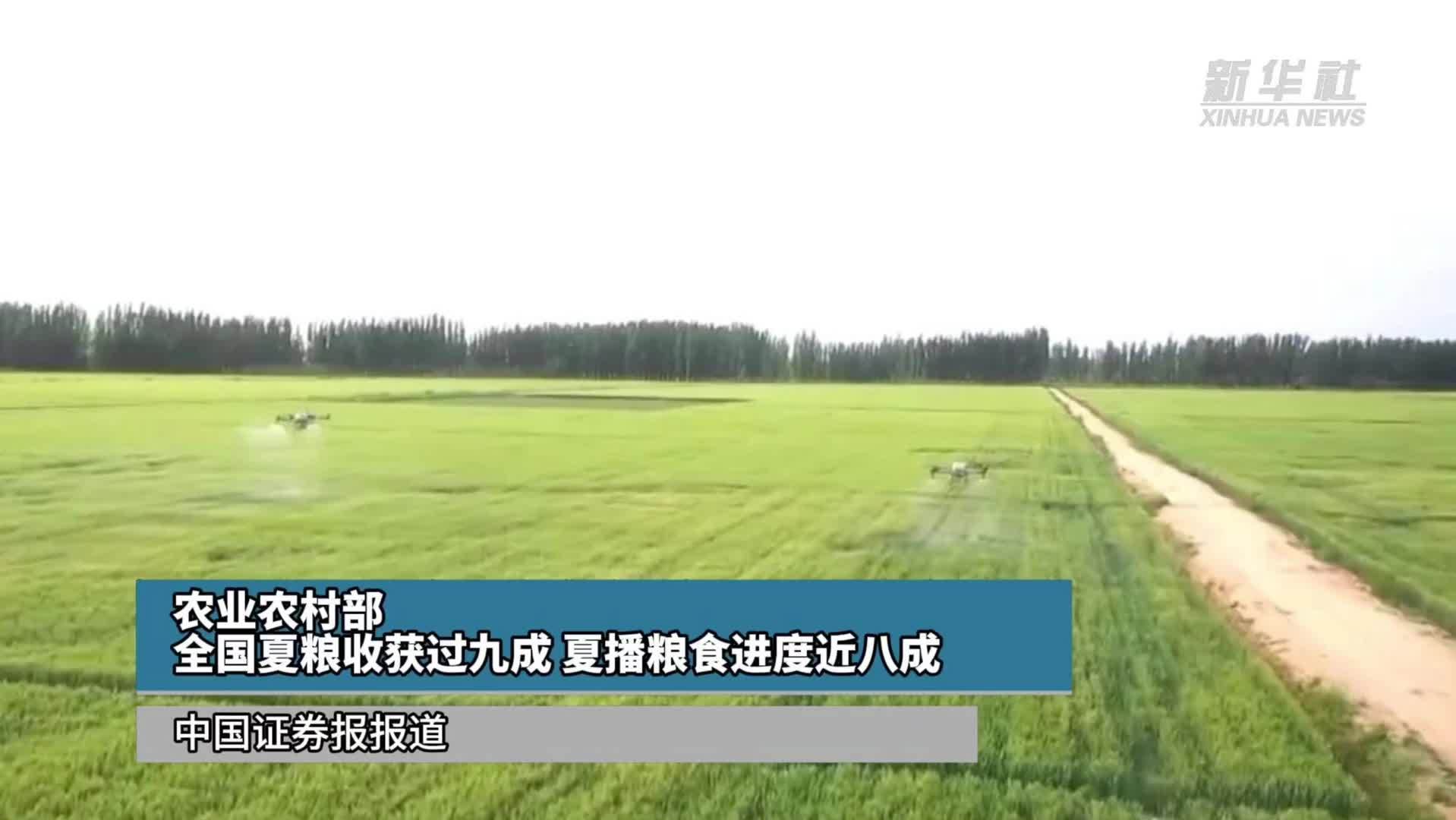 农业农村部：全国夏粮收获过九成 夏播粮食进度近八成