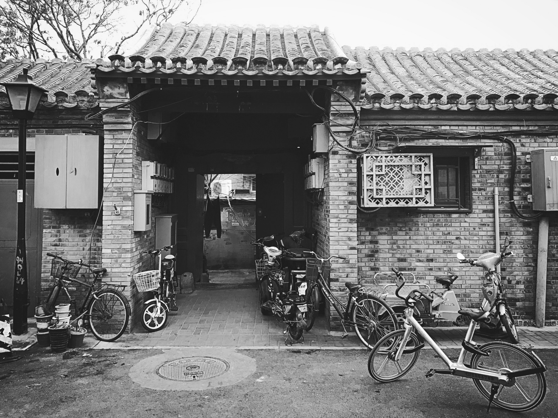 莱西“胡同文化”引领时代新风 营造和谐文明文化氛围