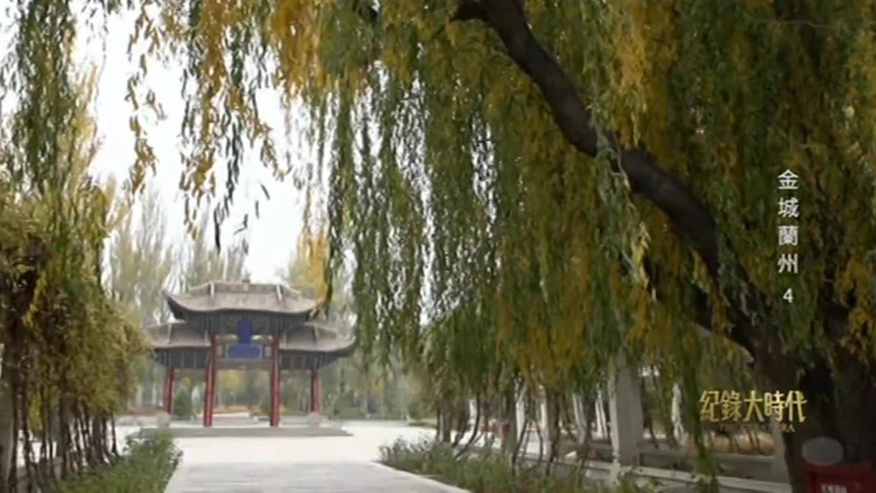 千里路上“左公柳”，这片绿色见证着左宗棠经略西北的往事