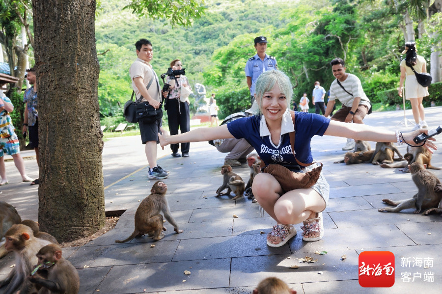 南湾猴岛内，外国博主和猕猴嬉戏。记者 袁玉龙 摄