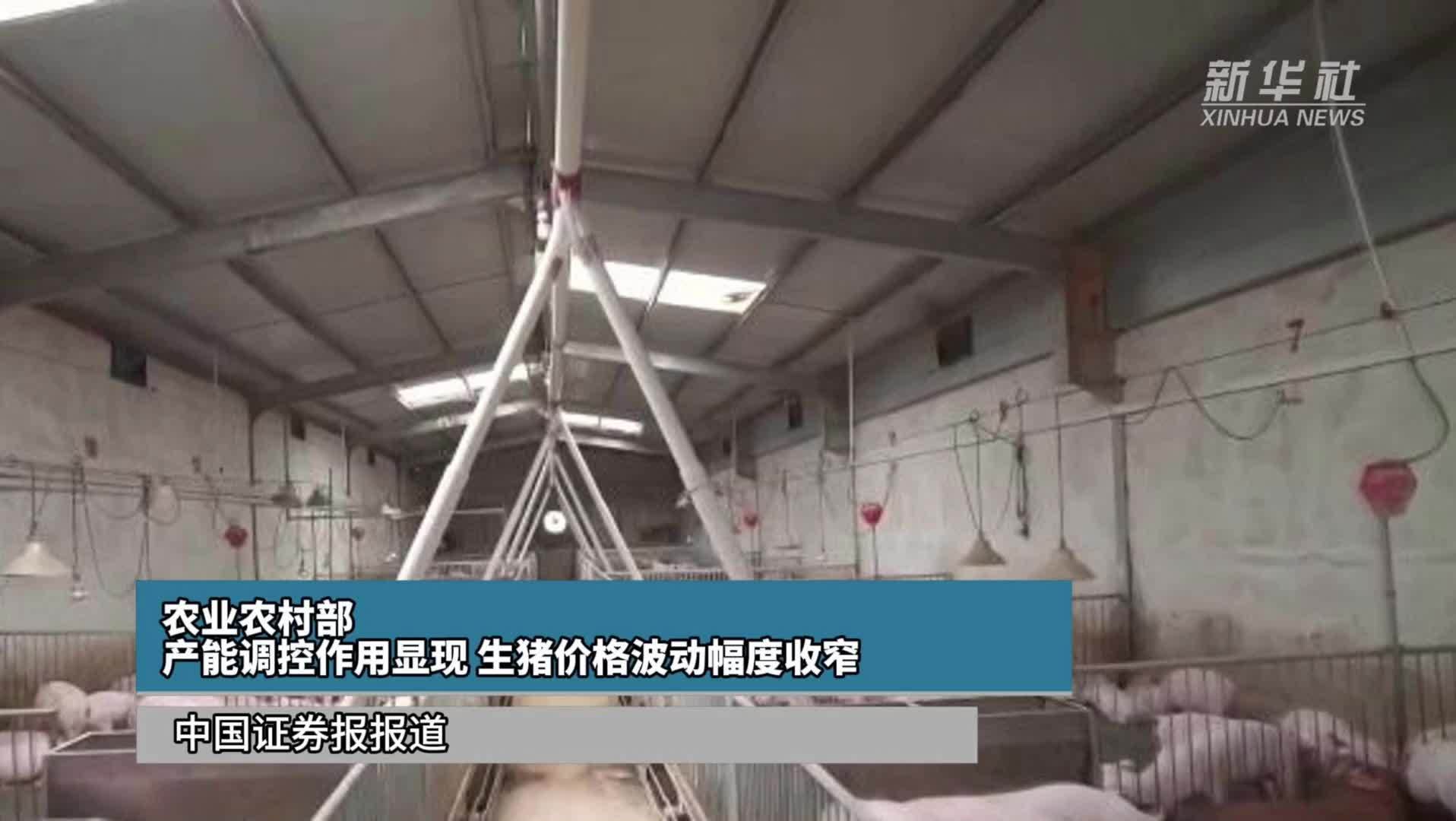 农业农村部：产能调控作用显现 生猪价格波动幅度收窄