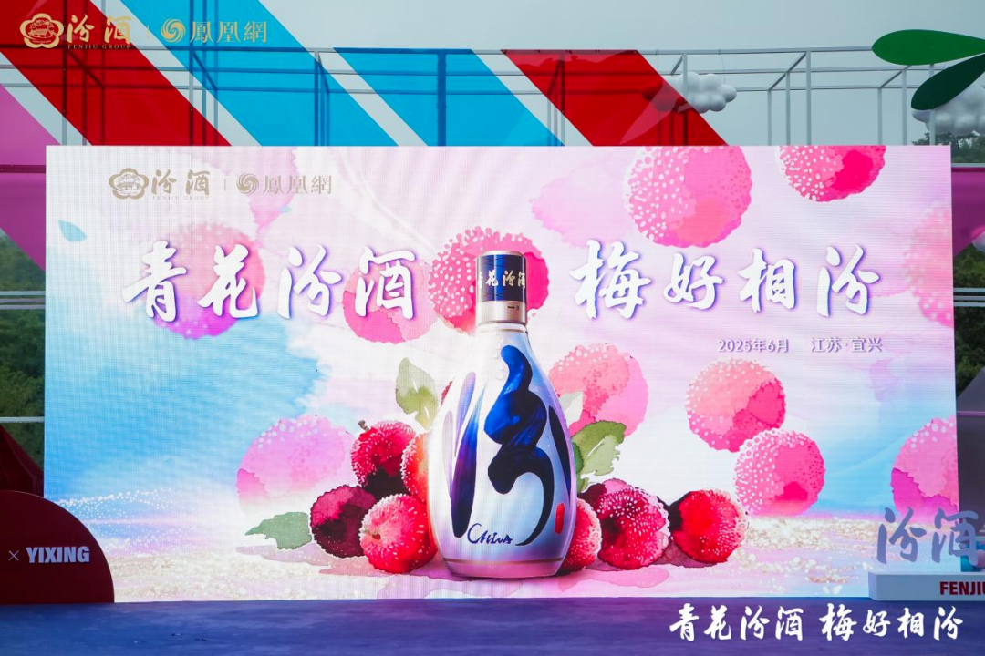 一颗杨梅里的汾酒年轻化突围