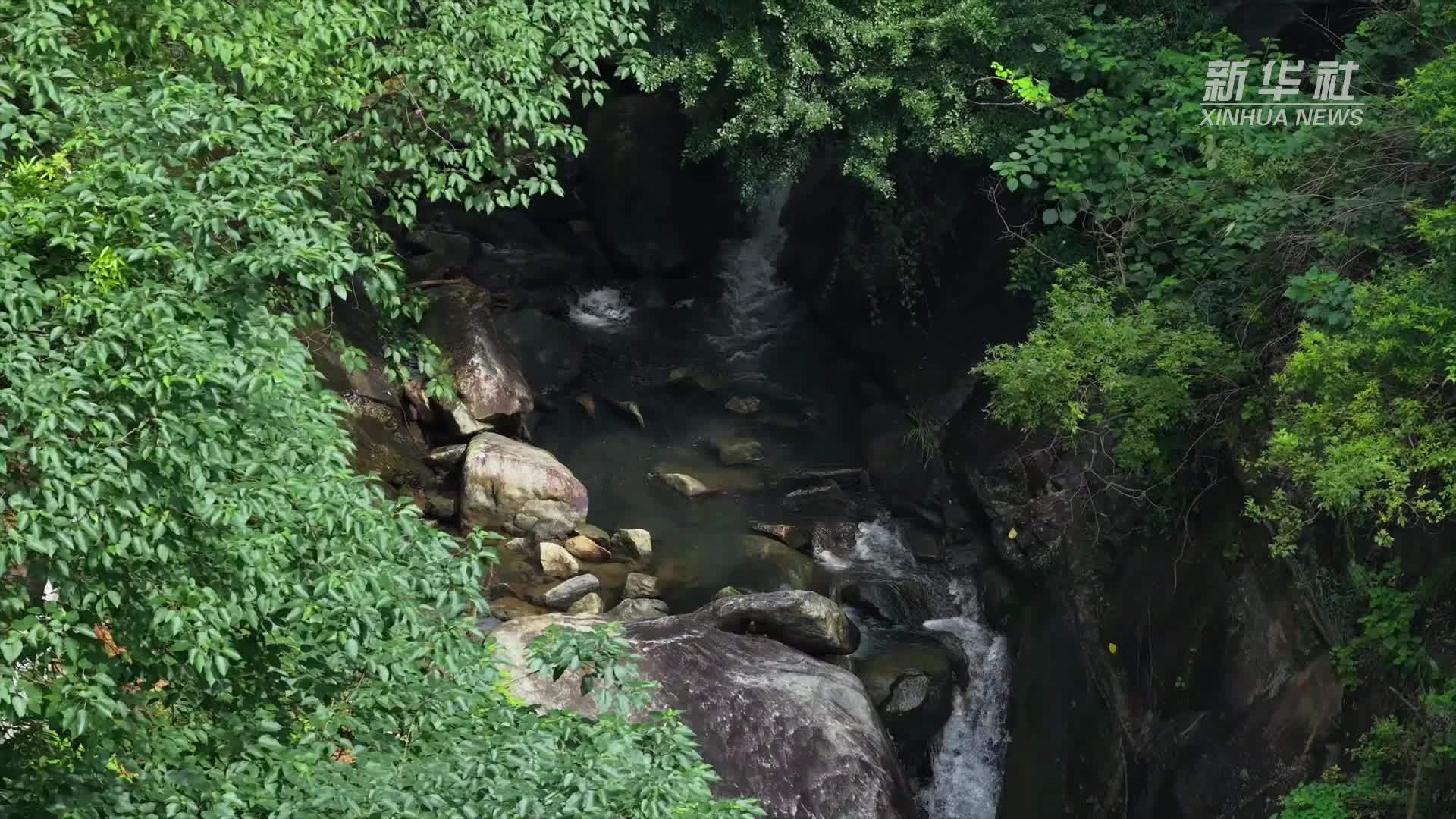 南岳衡山：梵音谷清凉迎客