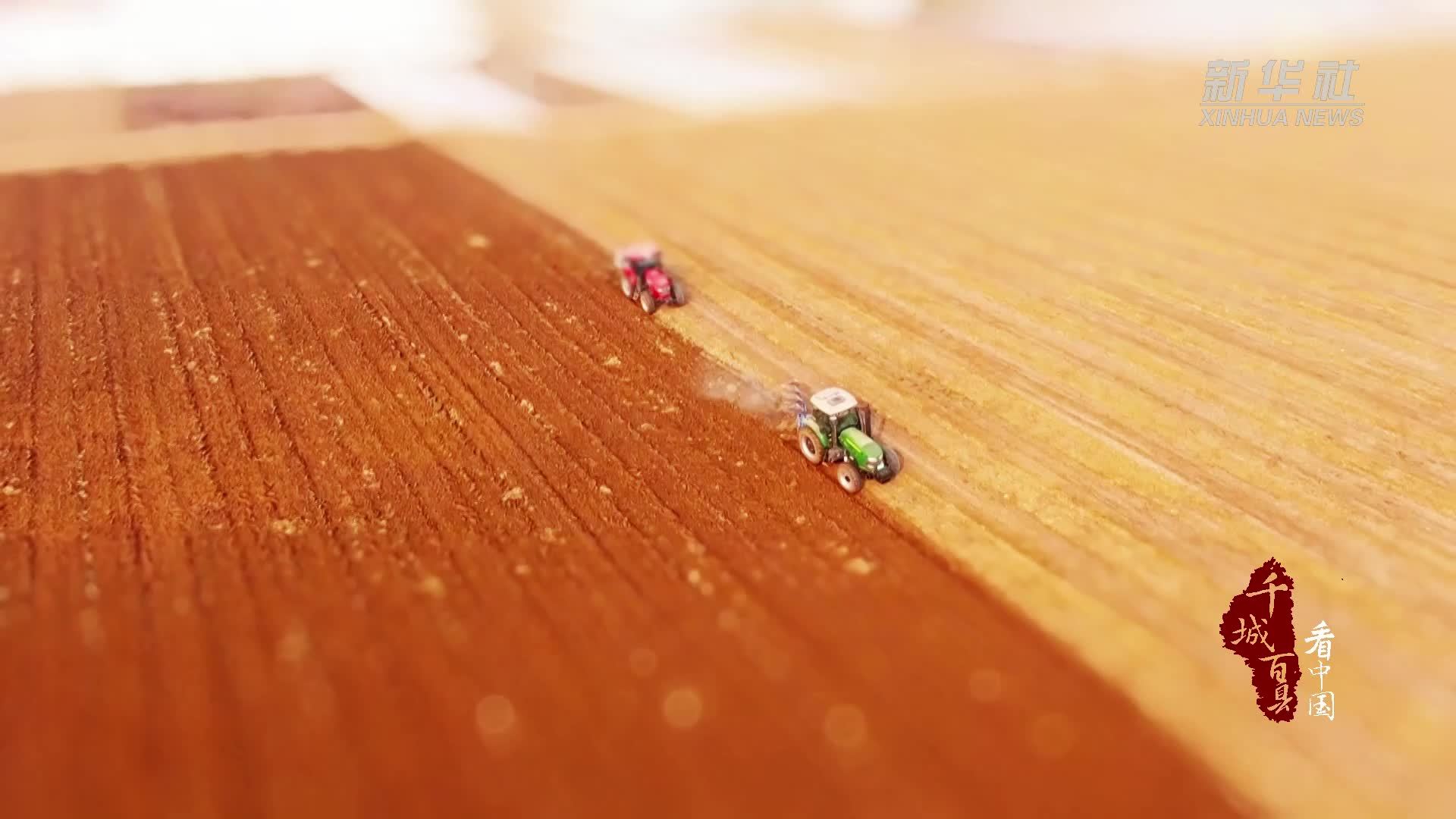 千城百县看中国｜山东成武：微观视角看小麦生长全过程