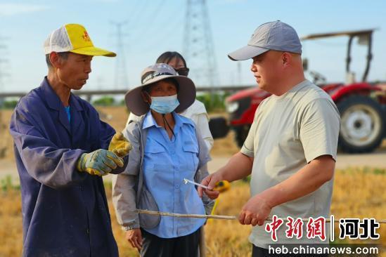 农技专家为农户讲解宽窄行种植技术要点。 李月英 摄