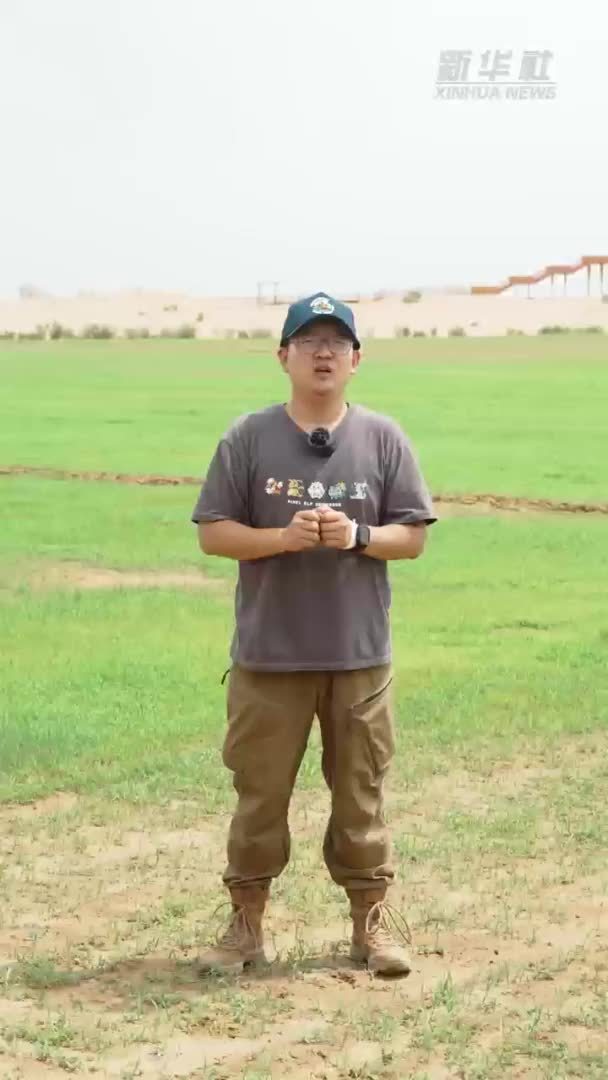 中国之城丨黄河孕育的“塞上江南”