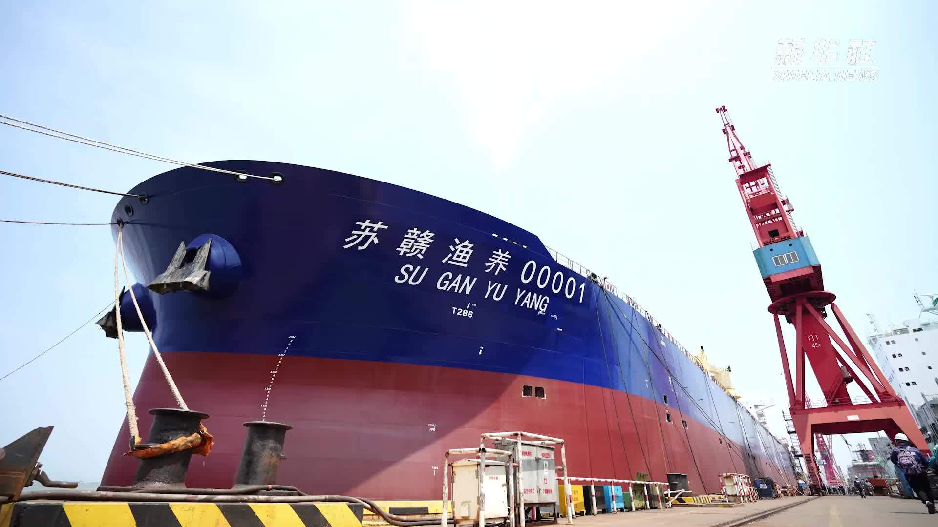 年养殖量超8000吨的三文鱼养殖工船“苏海1号”在广州交付