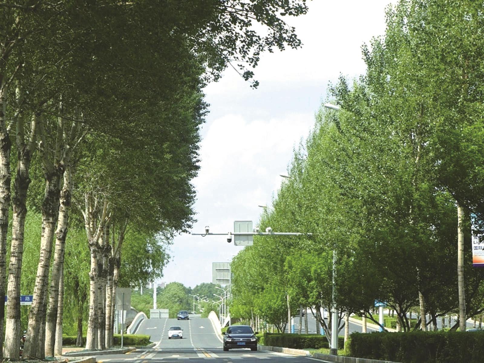 长春市绿树成荫 长春市绿化管理中心供图