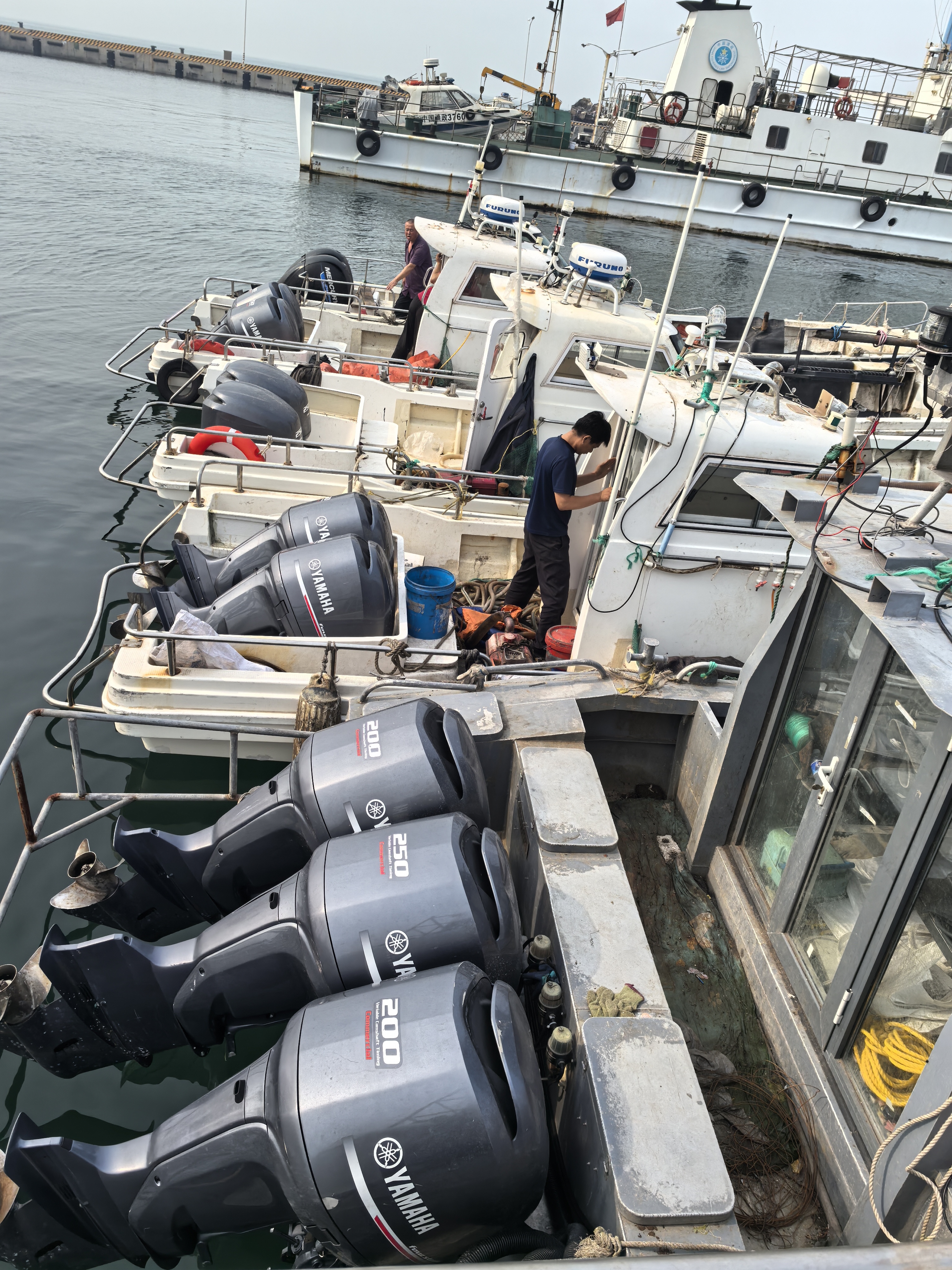 青岛开展伏季休渔联动执法 精准打击查获 5艘涉嫌违规捕捞快艇