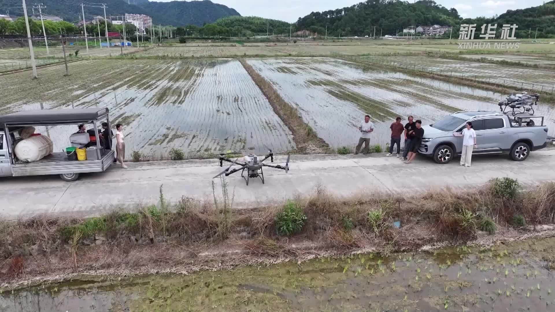 杭州桐庐：农用无人机联盟成立 科技服务直达田间地头