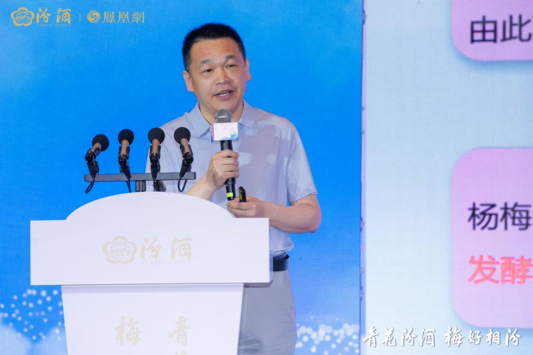 一颗杨梅里的汾酒年轻化突围