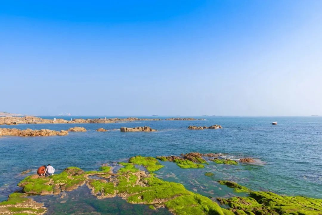 建设“美丽海湾”，青岛如何打好特色牌？凤凰网青岛_凤凰网