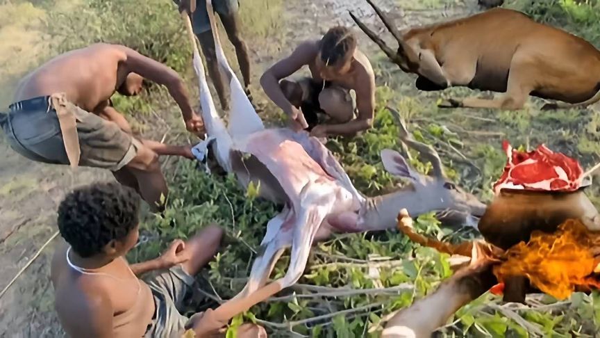 探索哈扎比部落怎么在野外狩猎与烹饪食物