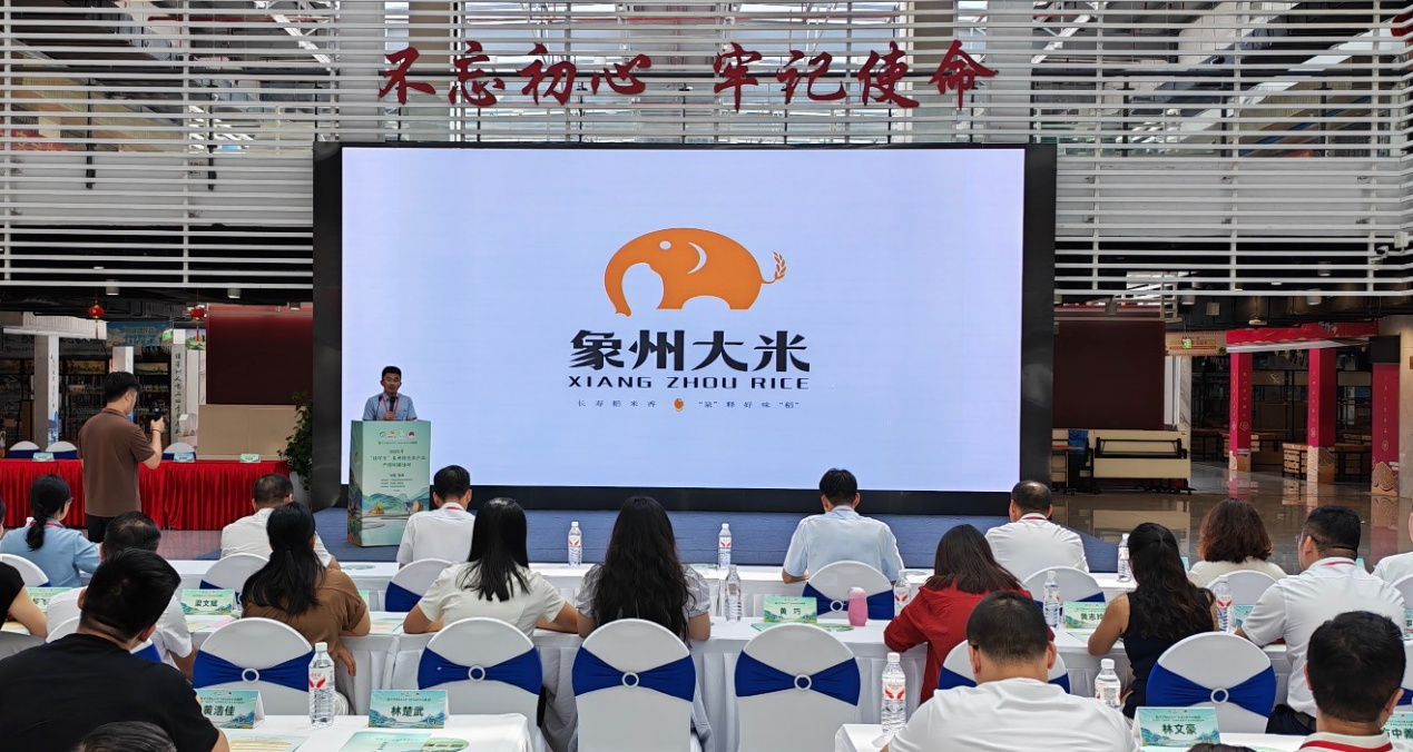 活动现场