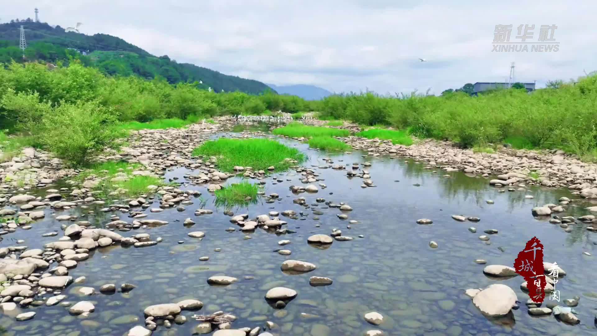 千城百县看中国｜福建光泽：一点沧洲白鹭飞