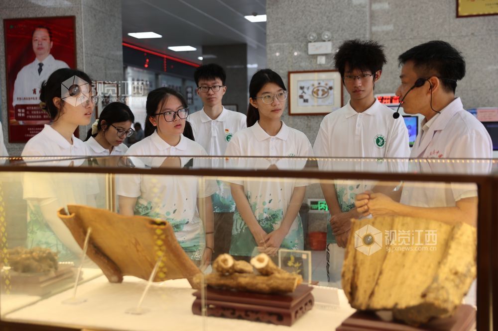 2025年7月1日，在江西省吉安市萬(wàn)安縣中醫(yī)院中醫(yī)藥文化展廳，中醫(yī)專家正在給學(xué)生講解中醫(yī)藥知識(shí)。