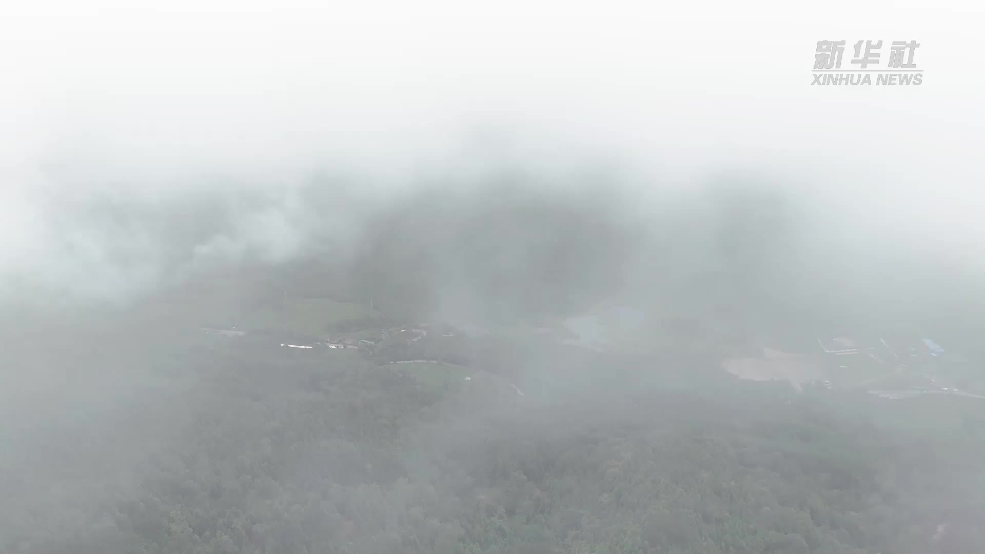 云南盈江首次成功救助格彩臂金龟