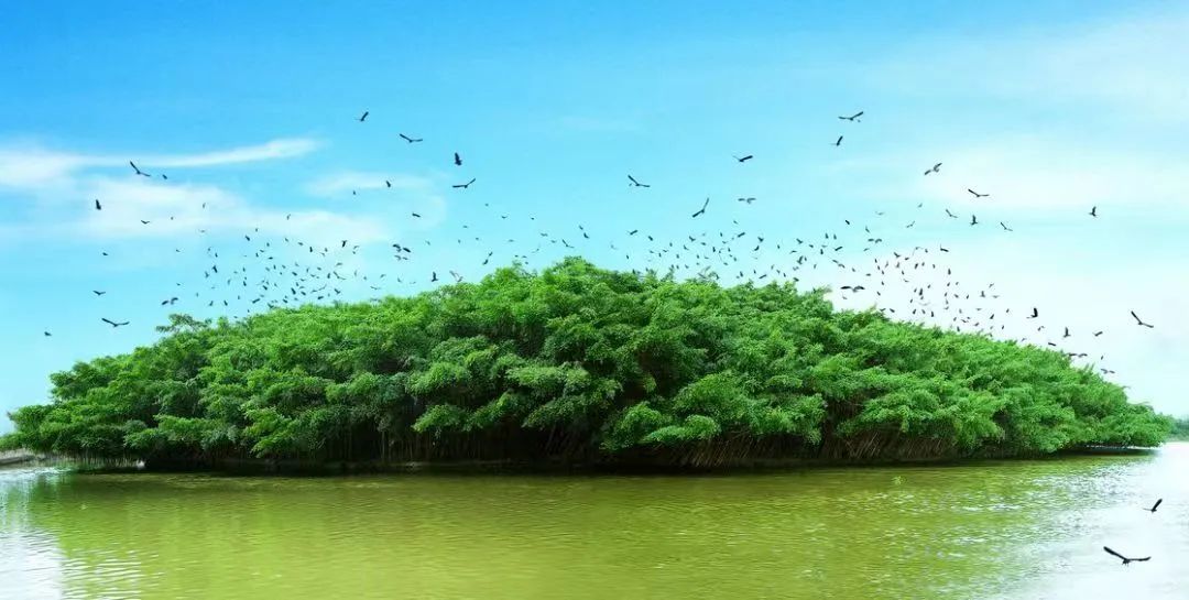 黄永照 摄