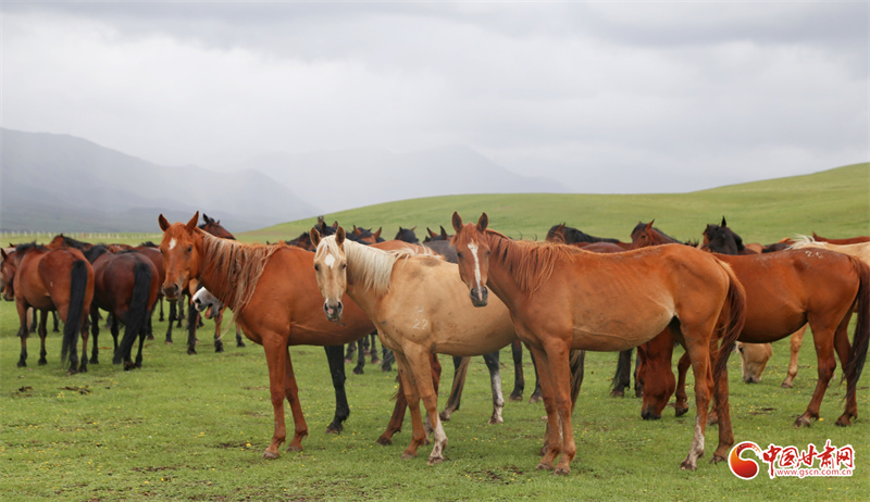 重温路易&middot;艾黎的山丹时光　精神财富薪火相传