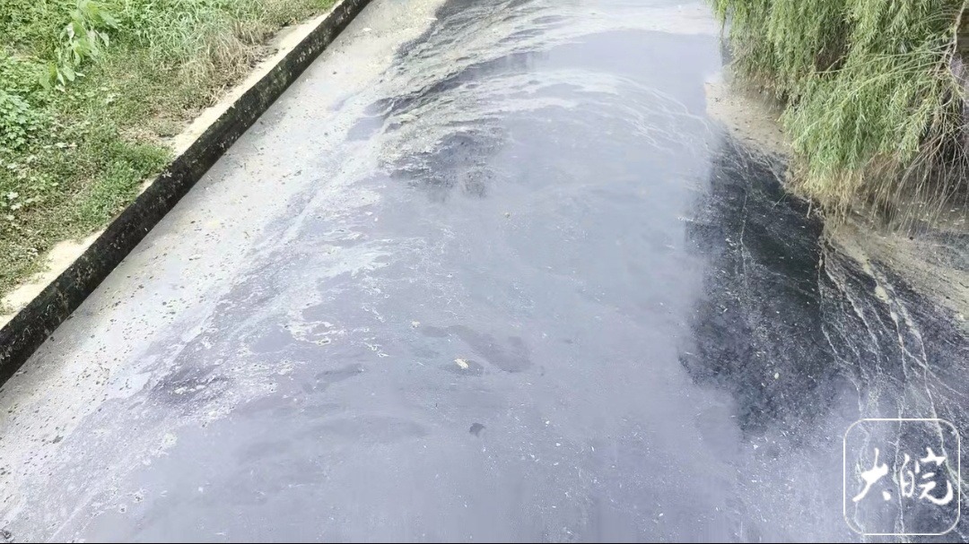 湖南省益阳市赫山区龙光桥街道中干渠河水。