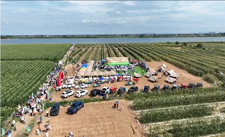 “奔赴美好&middot;只为玉见”洋湖乡首届玉米采摘活动现场