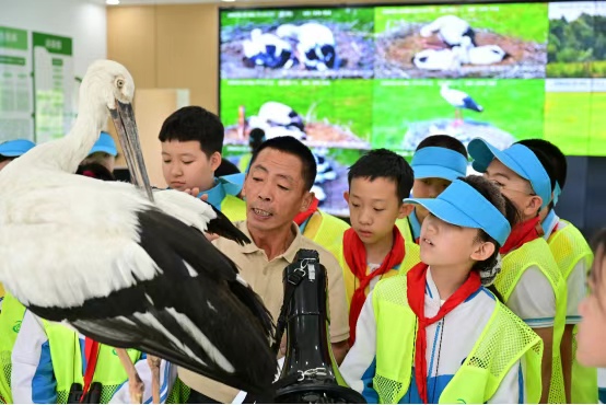 学生们认真观察东方白鹳标本