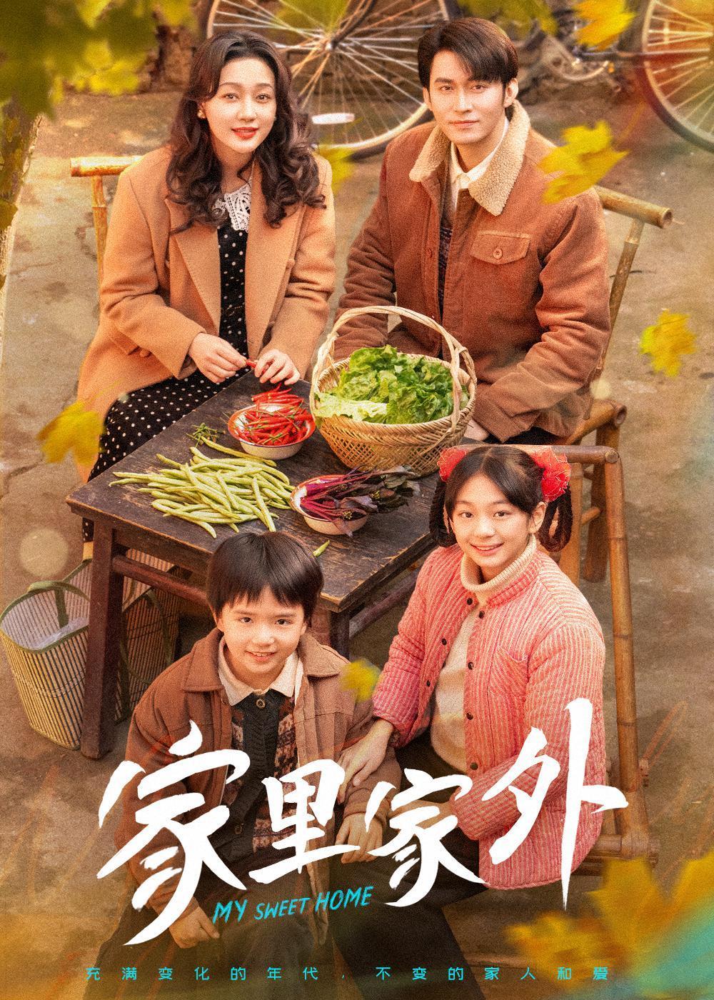 《家里家外》海报