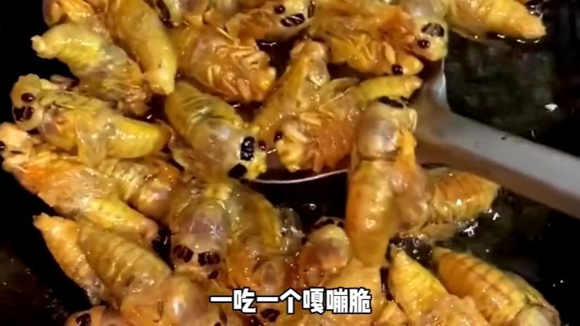 山东人对炸知了猴，真的有着深深的执念！