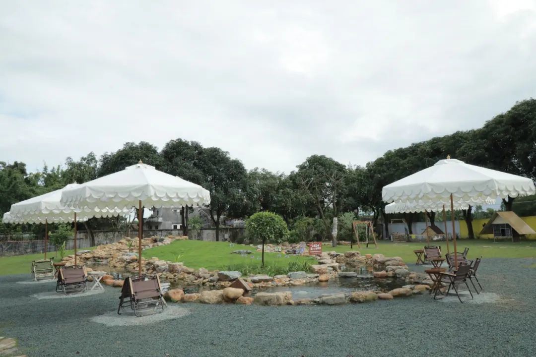 开平市赤坎镇：文旅赋能重塑百年古镇 城乡共融绘就发展新篇