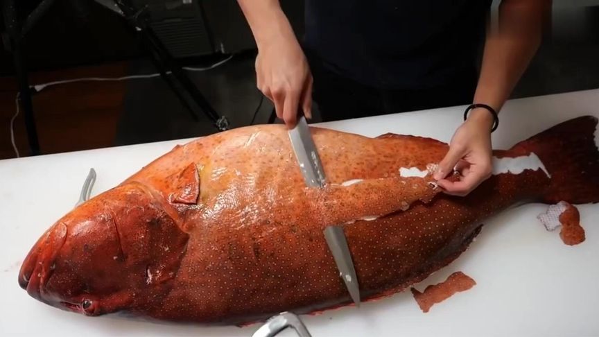 一万六千元买来的48斤东星斑，看土豪是怎么杀了做美食吃，开眼界