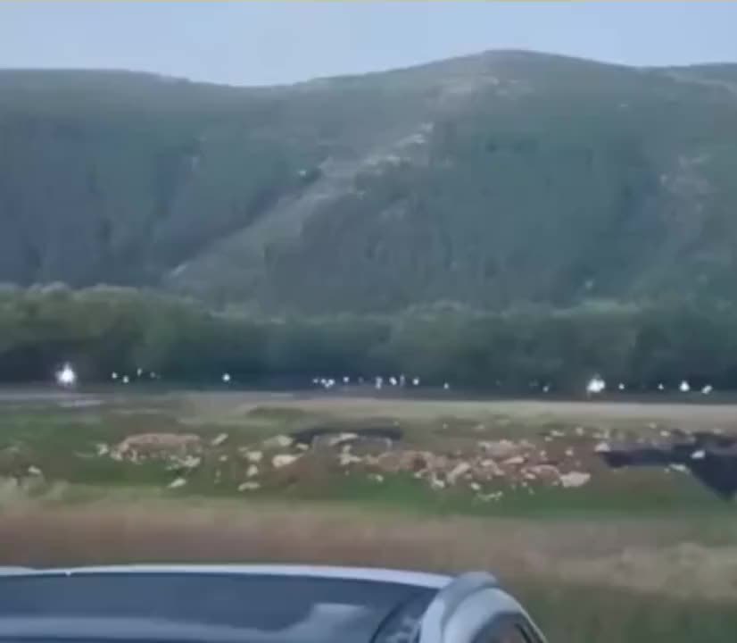 山东人对抓知了猴，真的有着深深的执念！😎😎