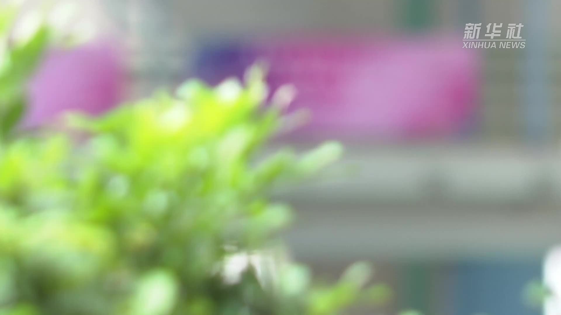 香港举行活动庆祝回归祖国28周年