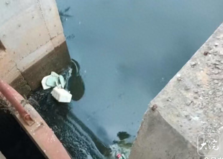 撇洪河河水。环保志愿者供图