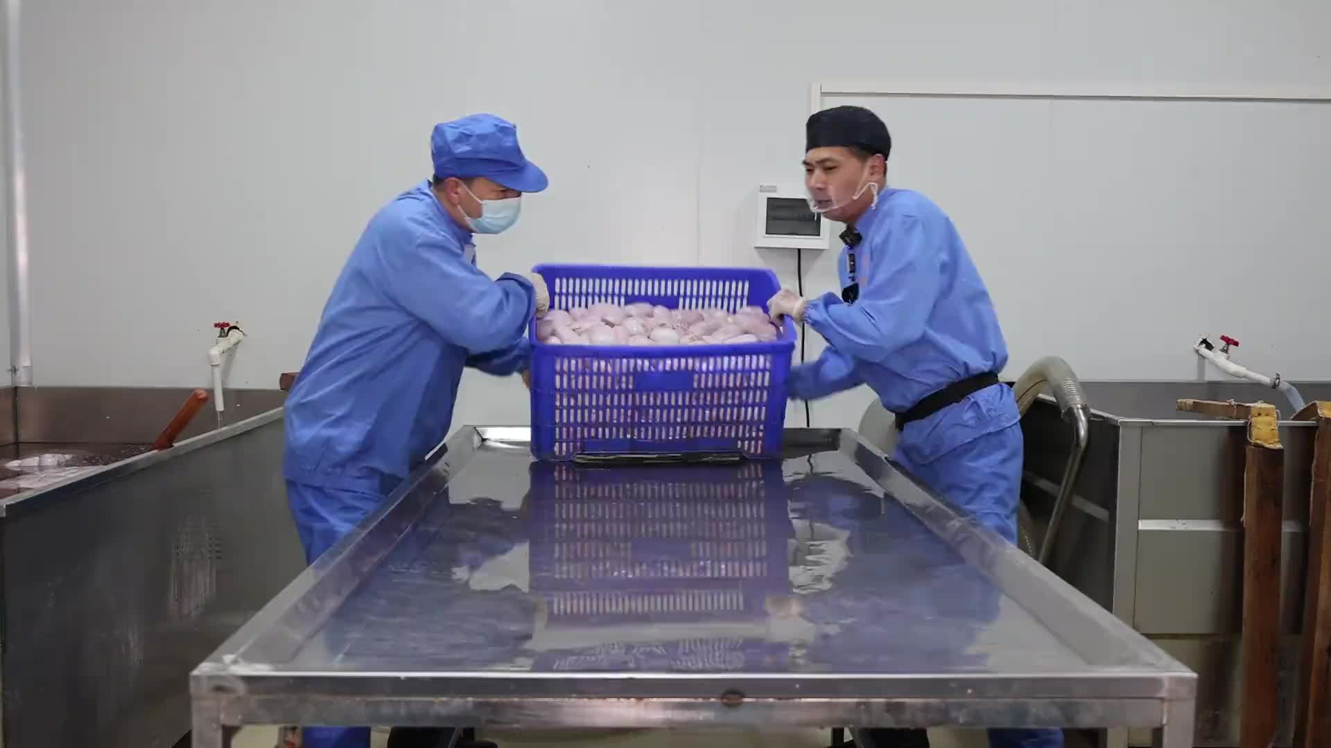 郑州小伙卤猪蛋，6洗6泡没骚味，一锅标配两只甲鱼，一筐牛蹄