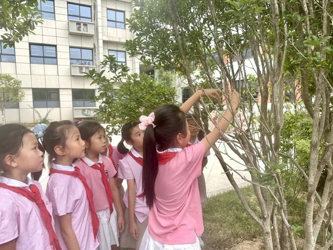 微信图片_20250627201325.jpg