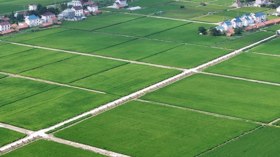 GetAttachment (2).jpg