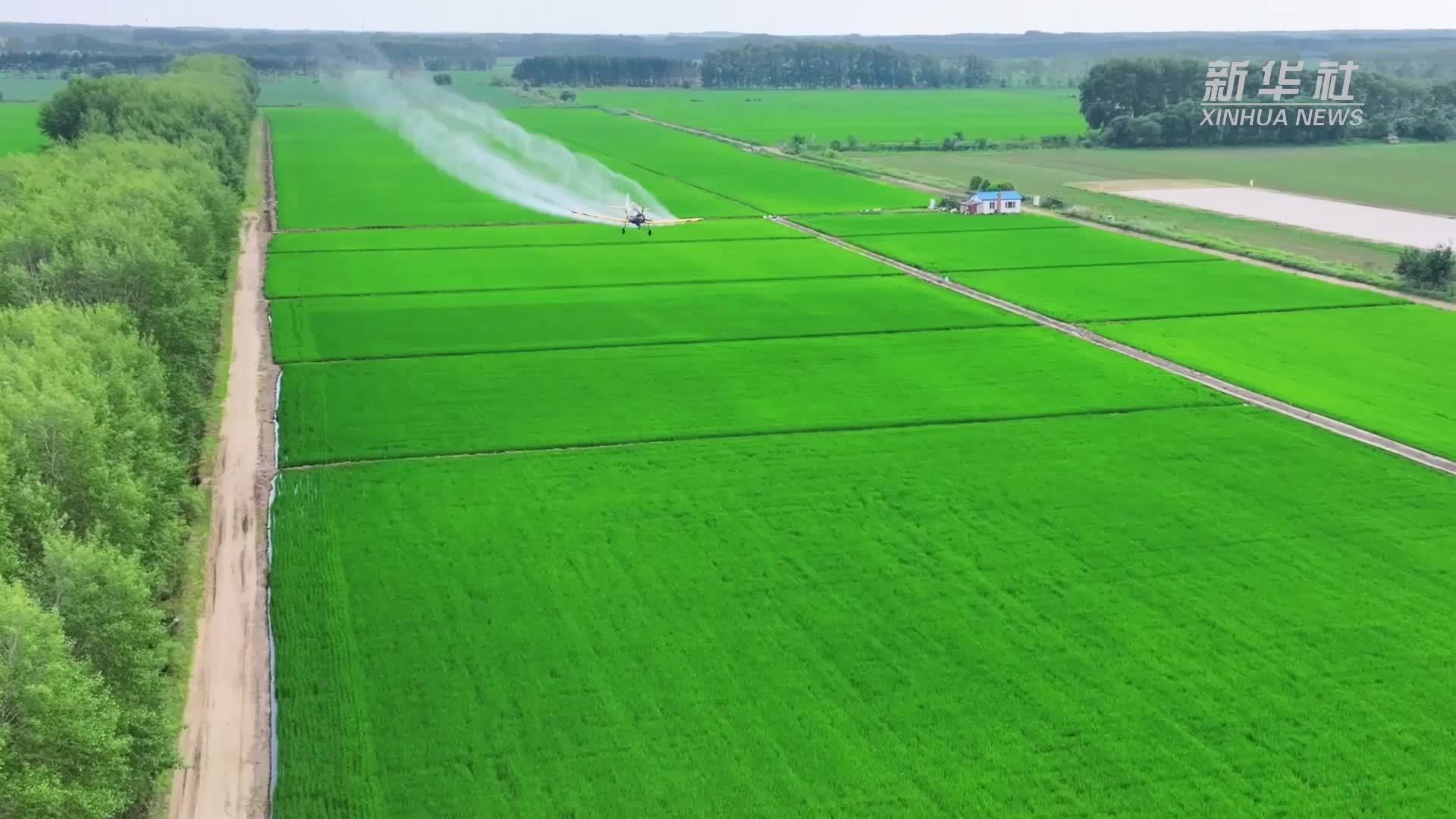 新华全媒+丨“北大荒”开启农田“空中护航”