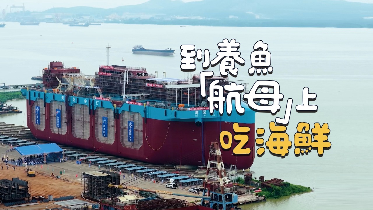 到养鱼“航母”上吃海鲜