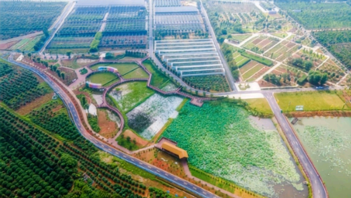 双金园艺场“泰豪&middot;中药气象小镇鸟瞰图