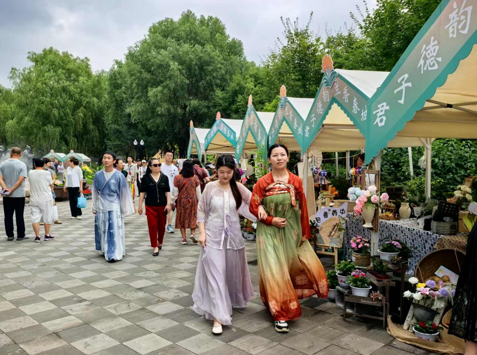 长春君子兰文化主题展启幕 以花为媒唤醒城市记忆