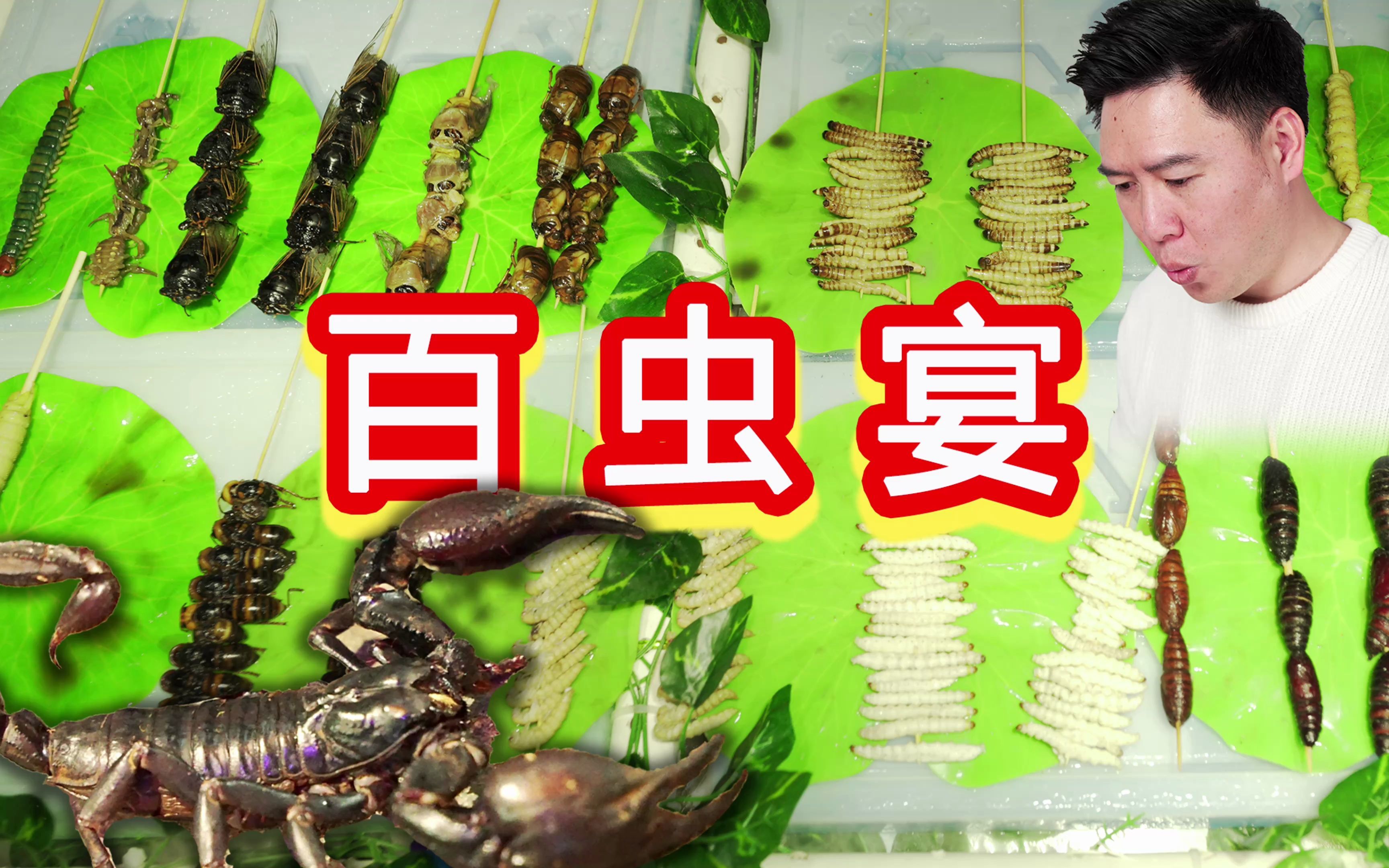 吃百虫宴，咬一口差点把我送走，弄不好就是最后一期