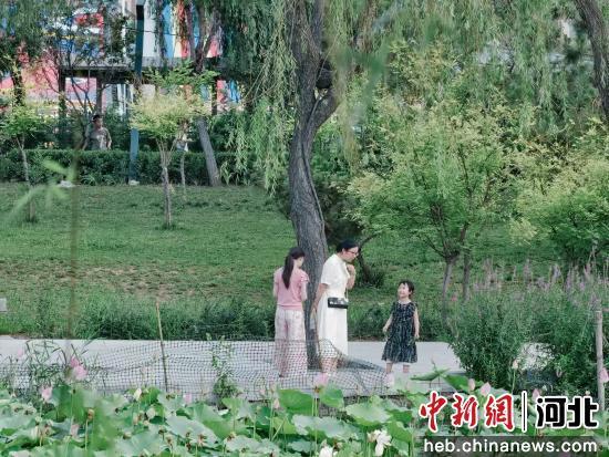 图为游客在欣赏荷花。 孙雨蝶 摄