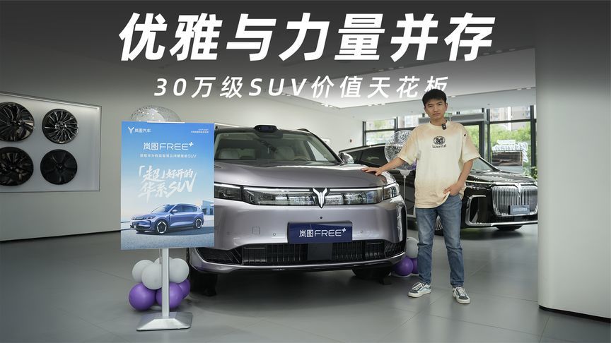 豪华旗舰的较量？岚图FREE+才是30万级SUV价值天花板_凤凰网视频_凤凰网